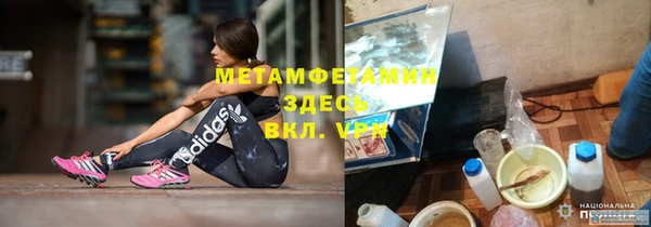 индика Пенза