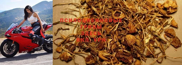 прущая мука Киров