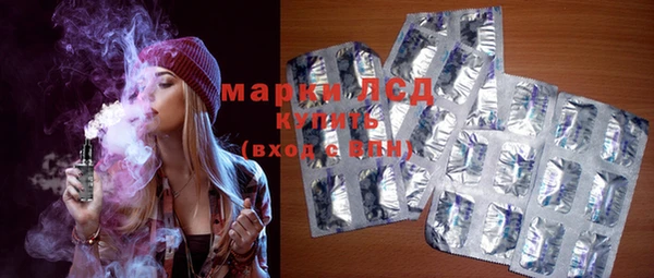 индика Пенза