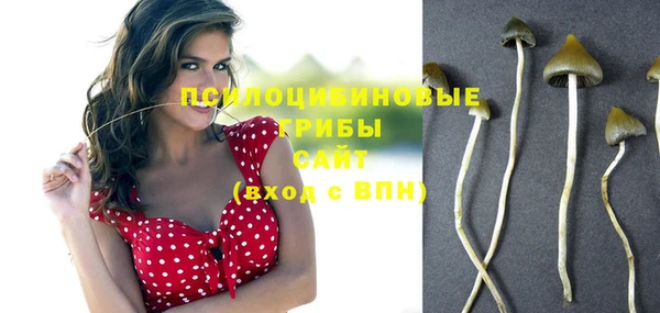 индика Пенза