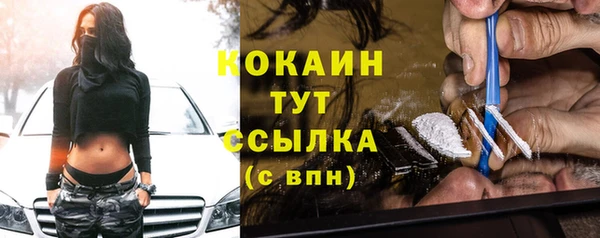 индика Пенза