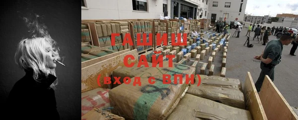 индика Пенза